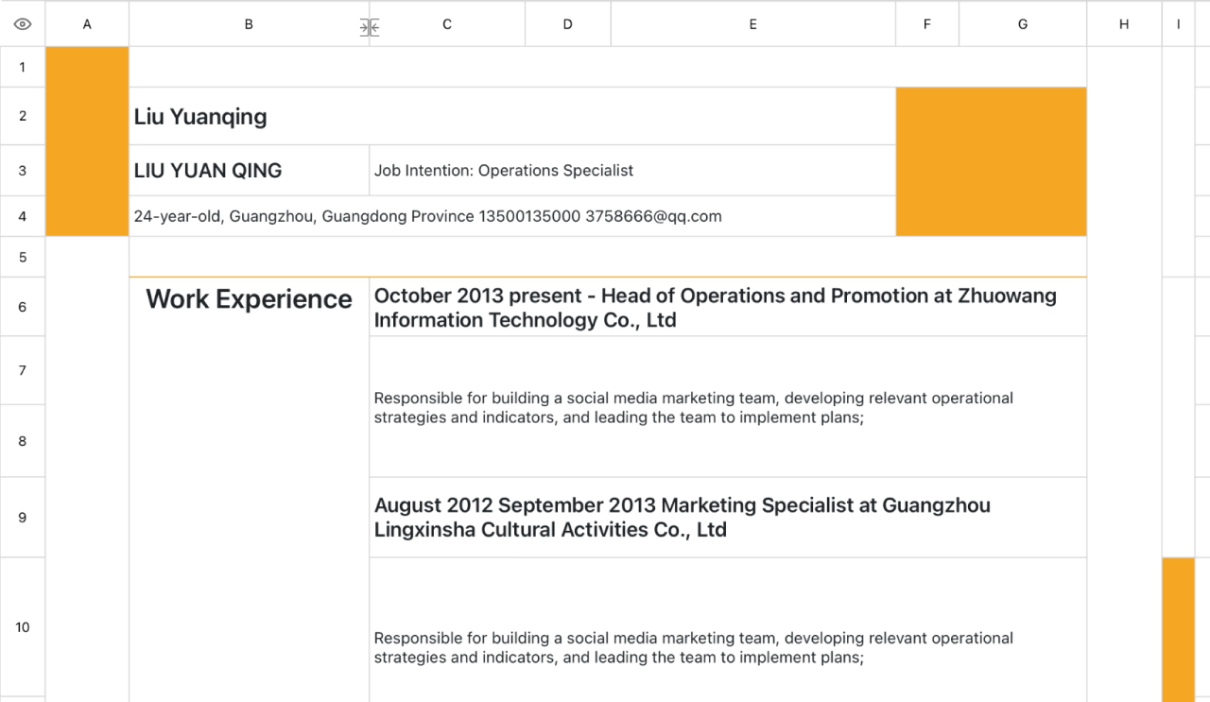 General Resume for Operations Personnel